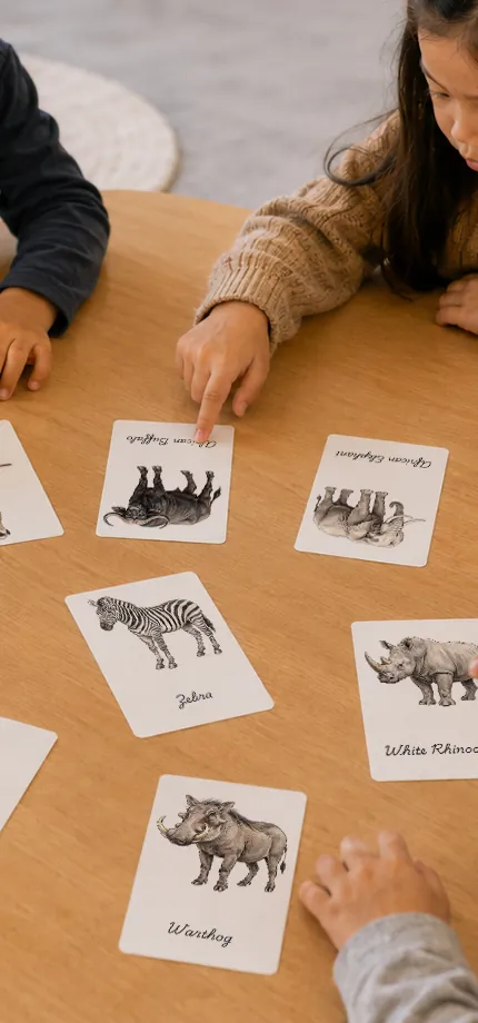 A child looking closely at animal flashcards