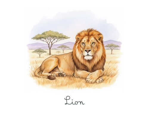 Lion